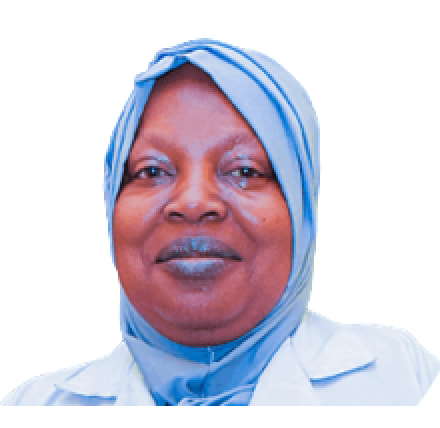 Prof. Modinah A. Raheem