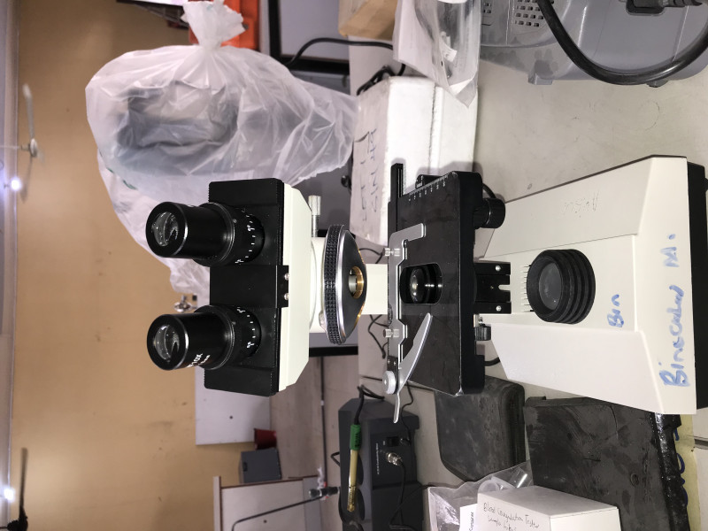Binocular Microscope