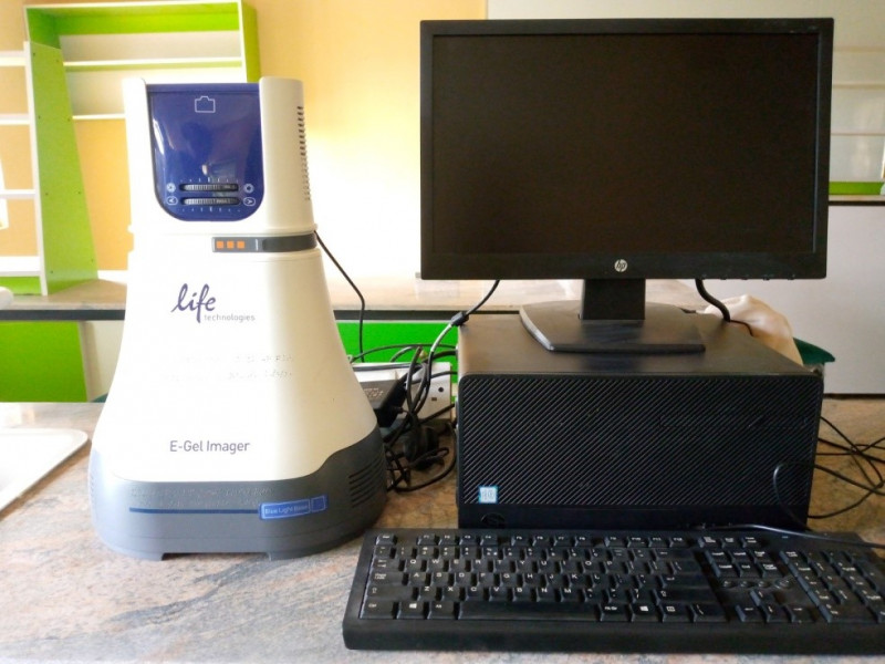 E-gel Imager system