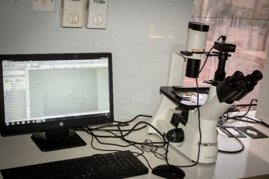 microscope