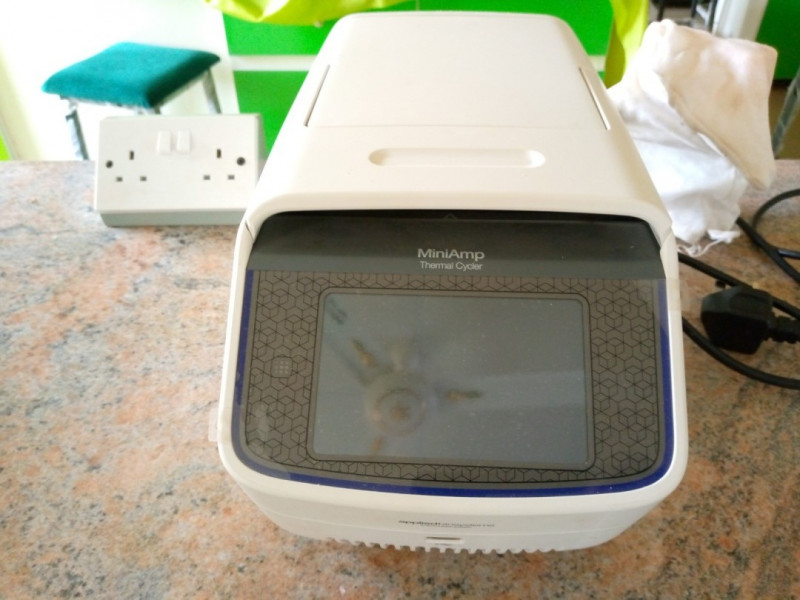 MiniAmp Plus Thermal Cycler (Conventional Thermal cycler)