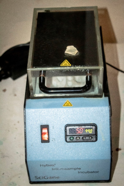 Incubator