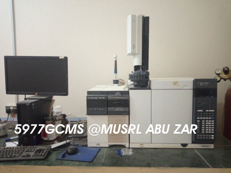 GC MS