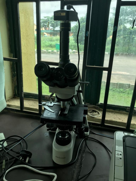 Microscope