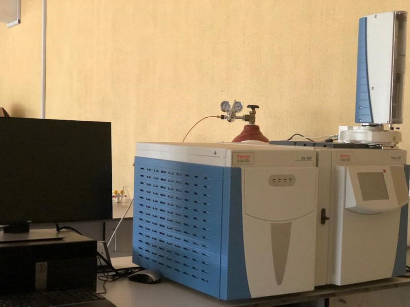 GAS CHROMATOGRAPH-MASS SPECTROMETER