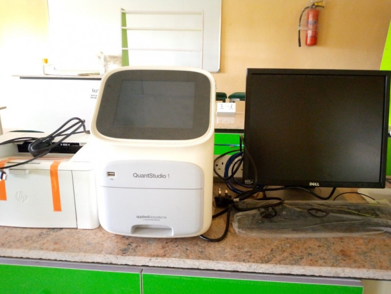 QuantStudio 5 system PCR System (Real-Time PCR or qPCR)