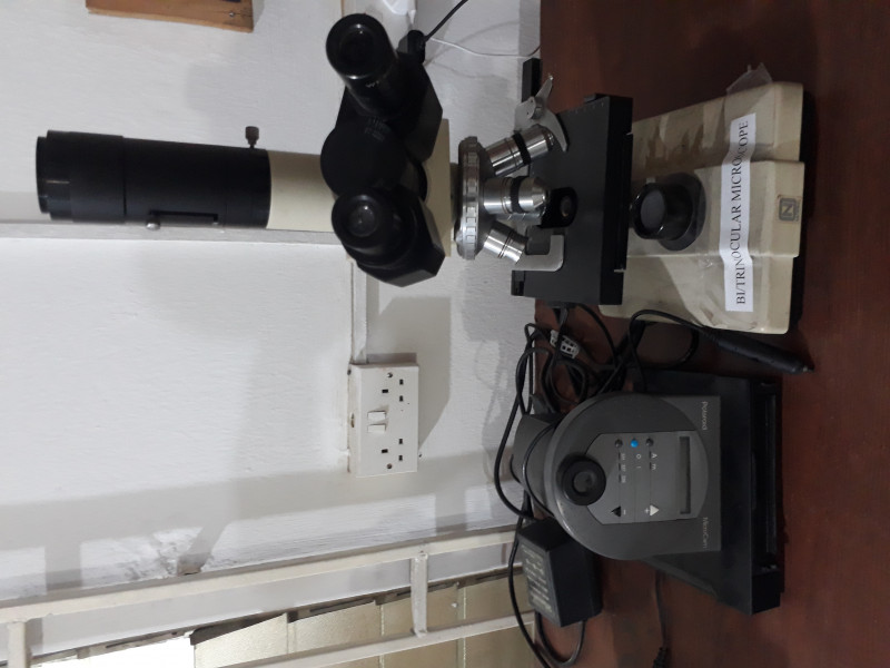 Bi/Trinocular Microscope