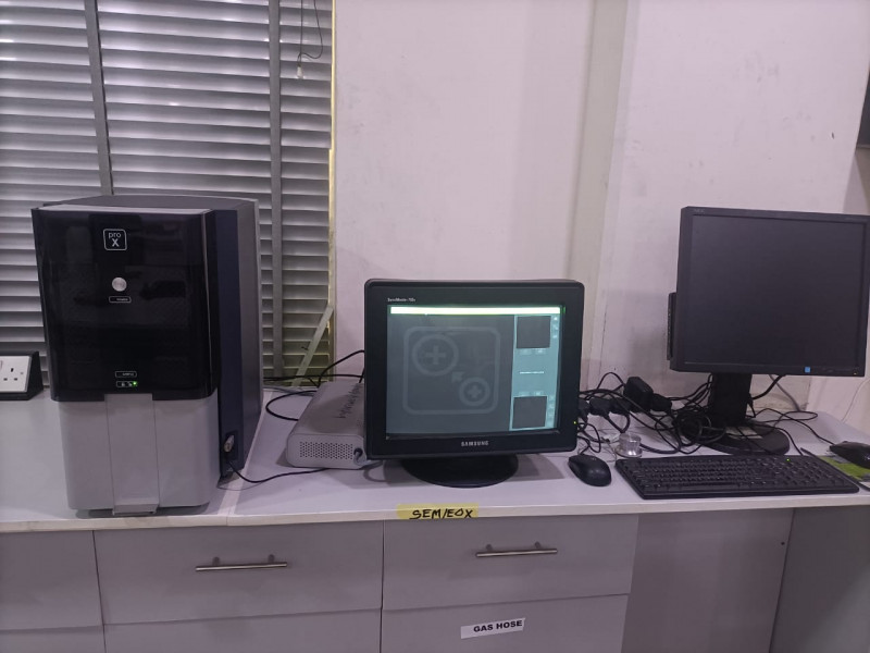 SEM/EDX