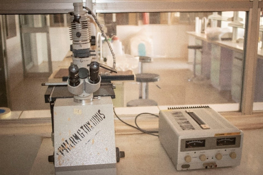 Microscope