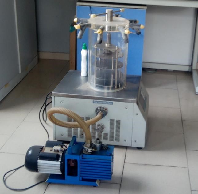 Freeze Dryer