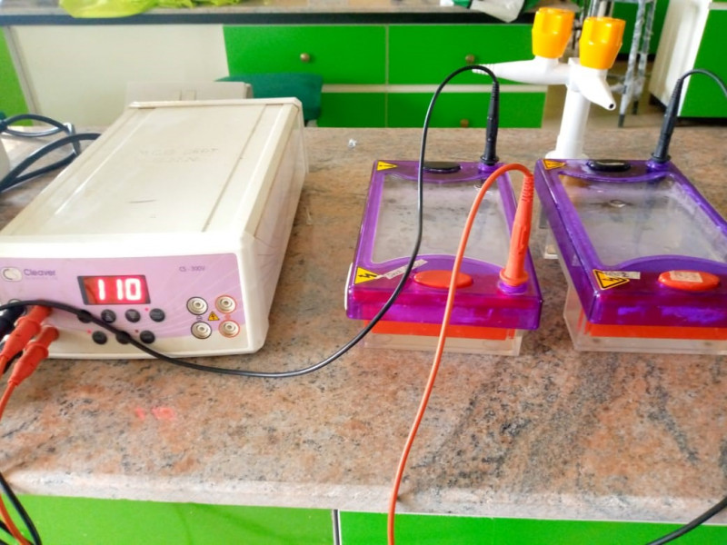 Horizontal Agarose Gel Electrophoresis Apparatus with power pack