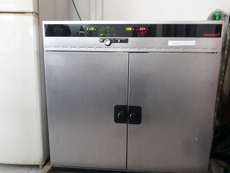 Memmert Incubator